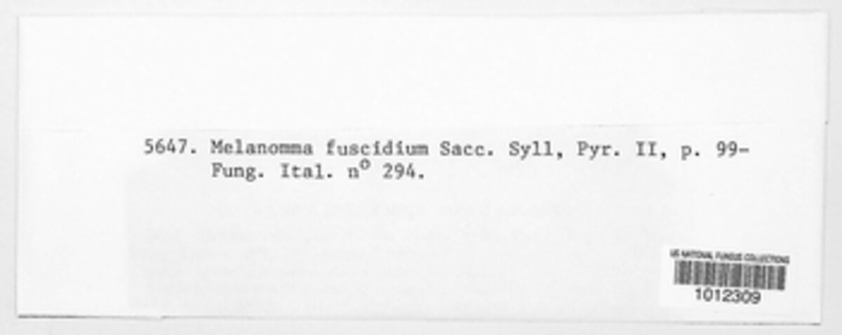 Nigrogranaceae image